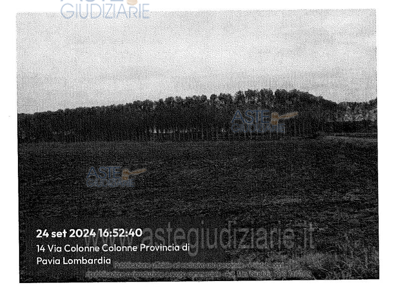 Fotografia del bene