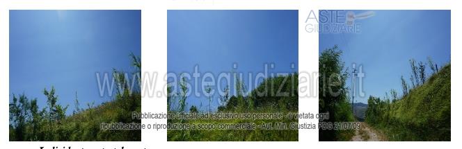 Fotografia del bene