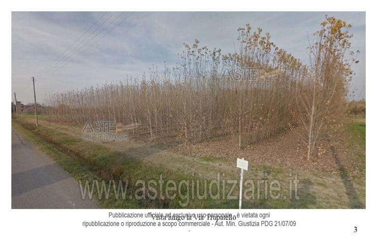 Fotografia del bene