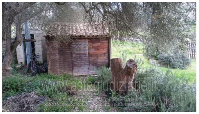 Fotografia del bene