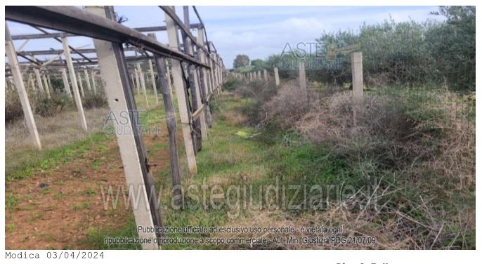Fotografia del bene