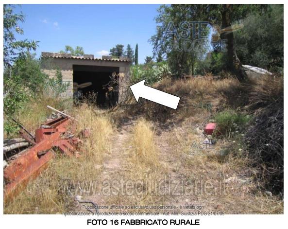 Fotografia del bene