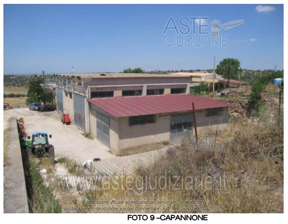 Fotografia del bene
