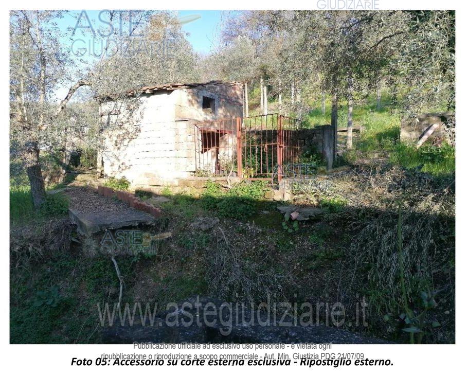Fotografia del bene