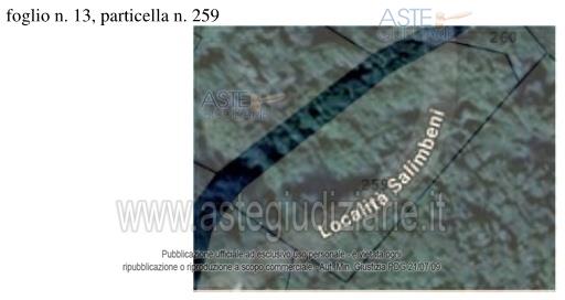 Fotografia del bene