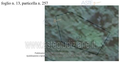 Fotografia del bene