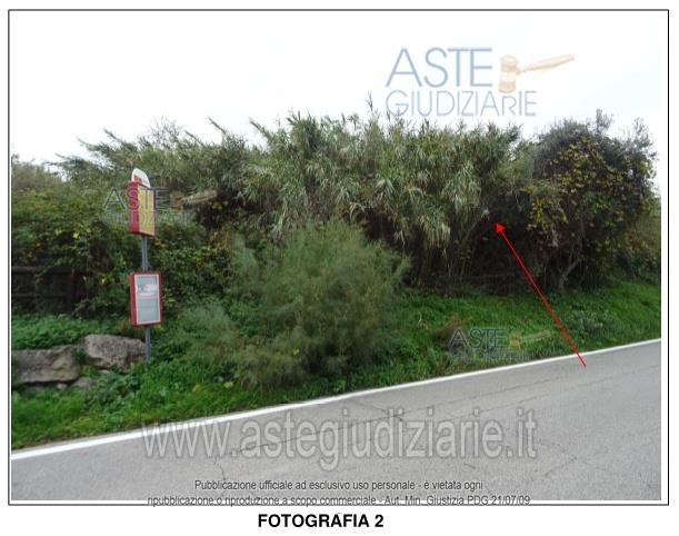 Fotografia del bene