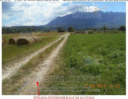 Fotografia del bene