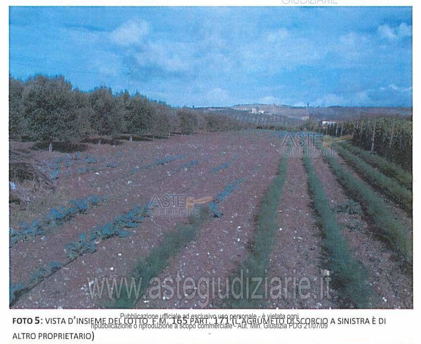 Fotografia del bene