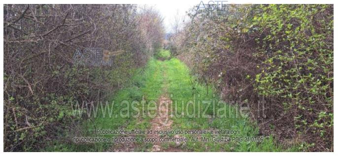 Fotografia del bene