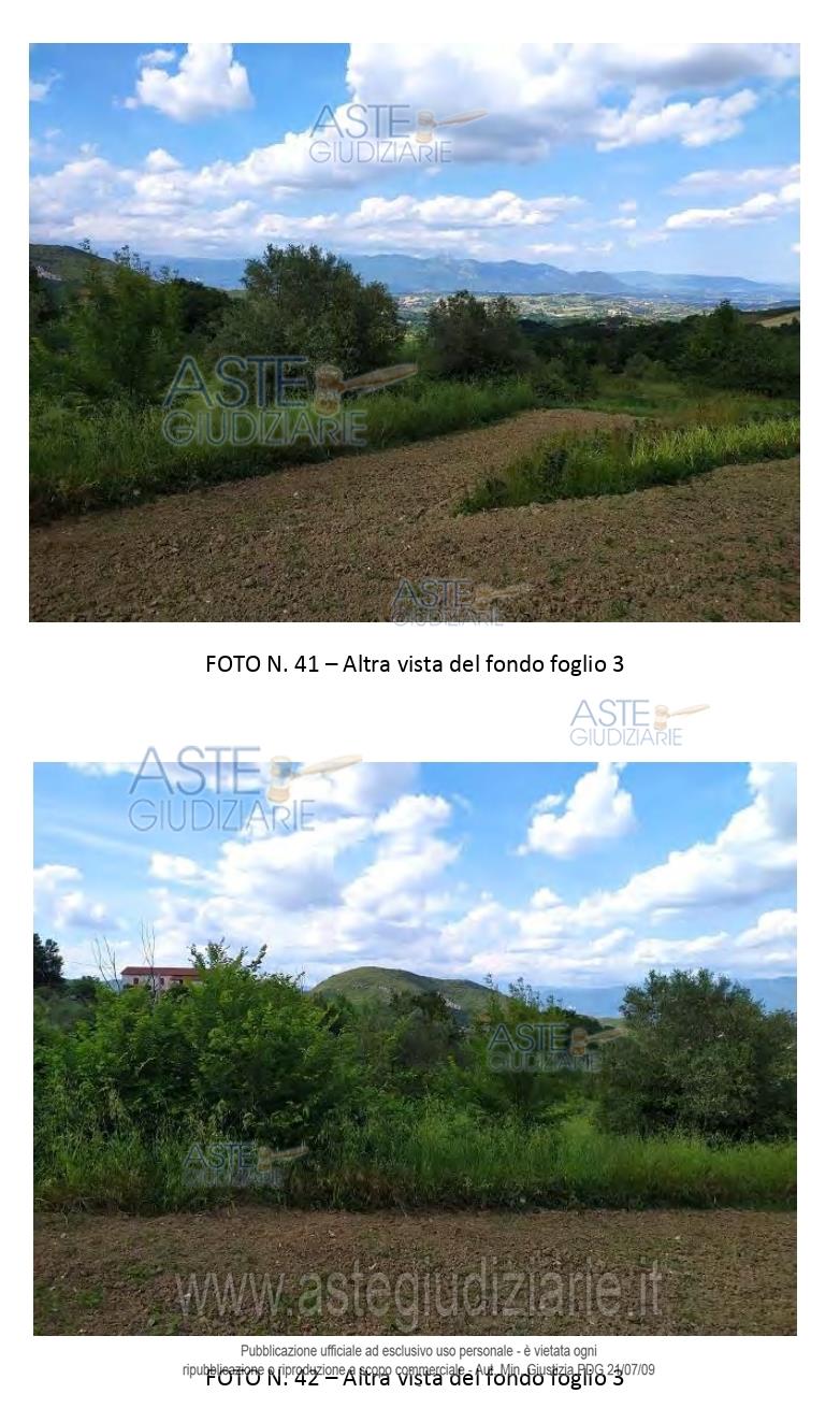 Fotografia del bene