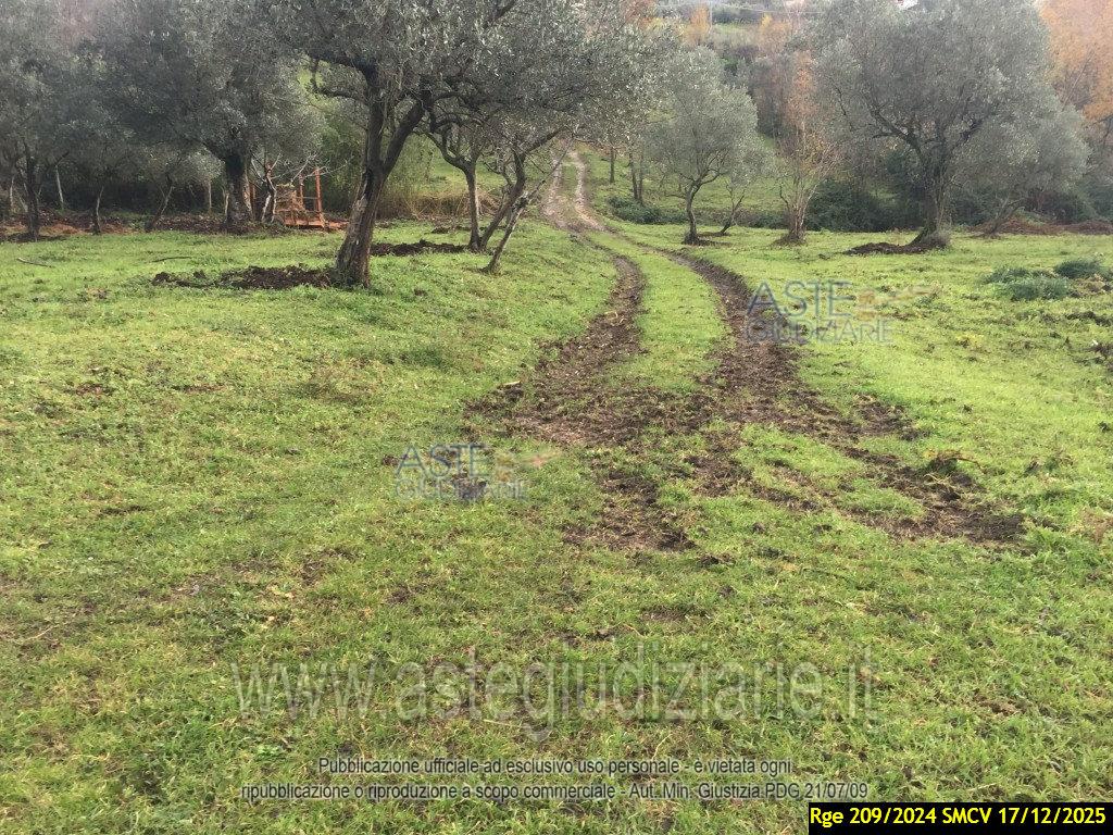 Fotografia del bene