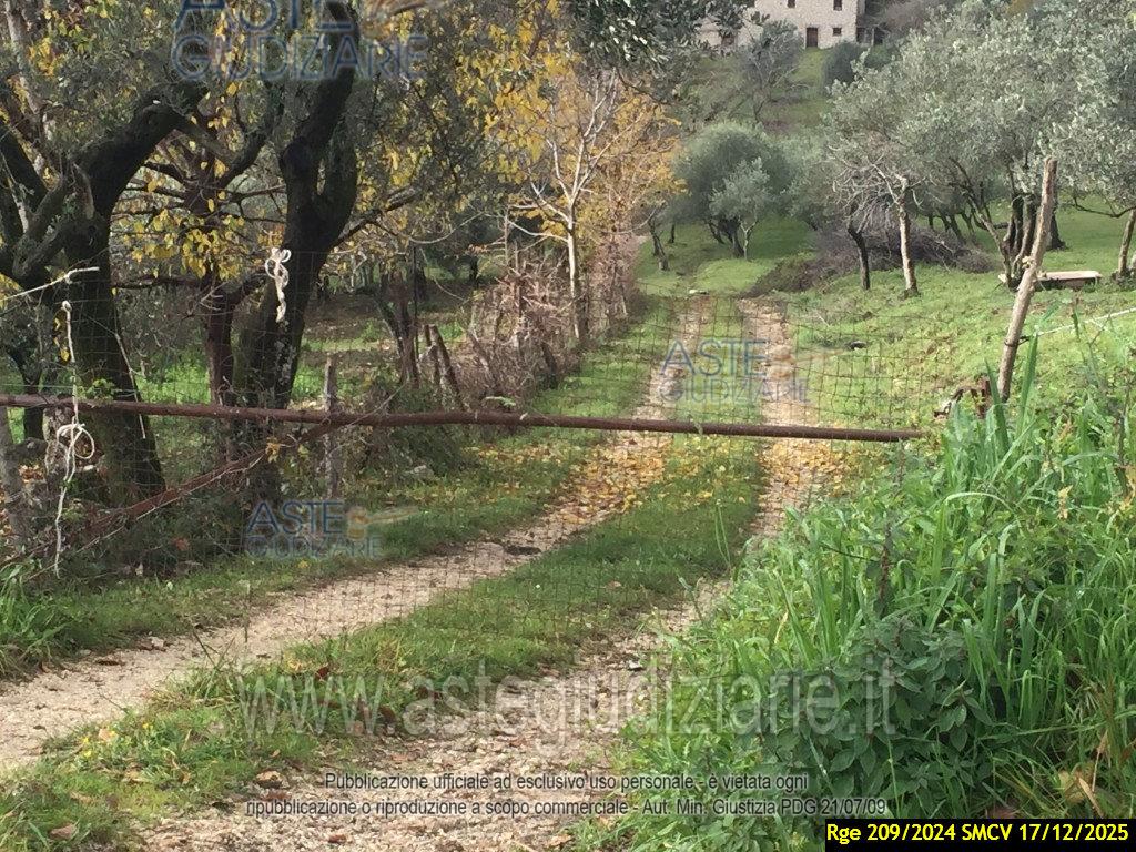 Fotografia del bene