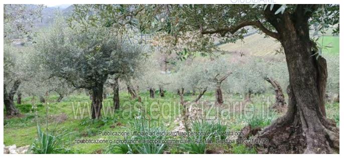 Fotografia del bene