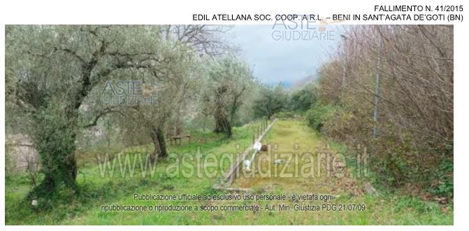 Fotografia del bene