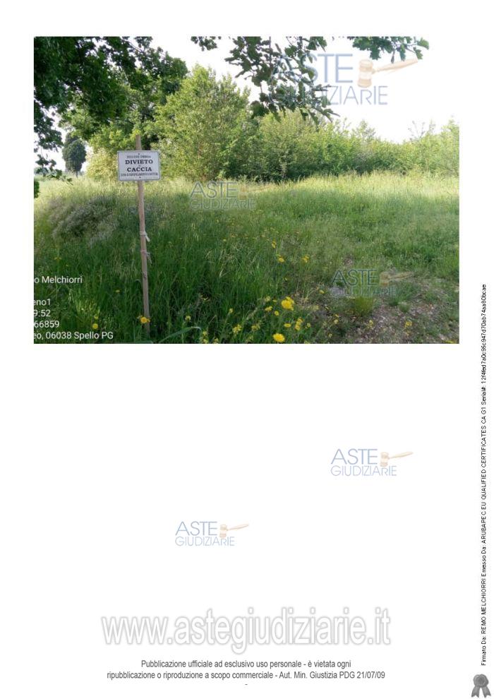 Fotografia del bene