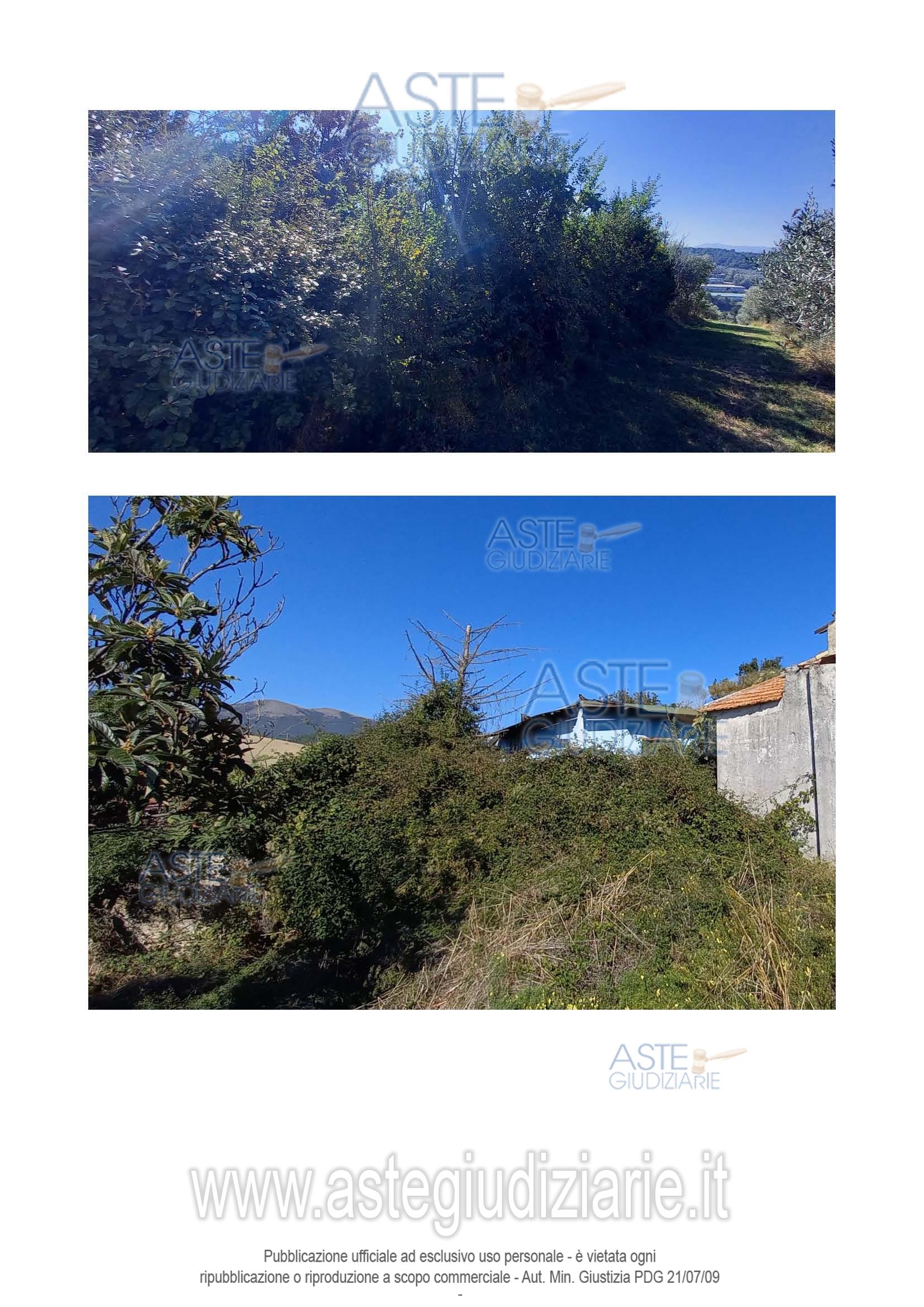 Fotografia del bene