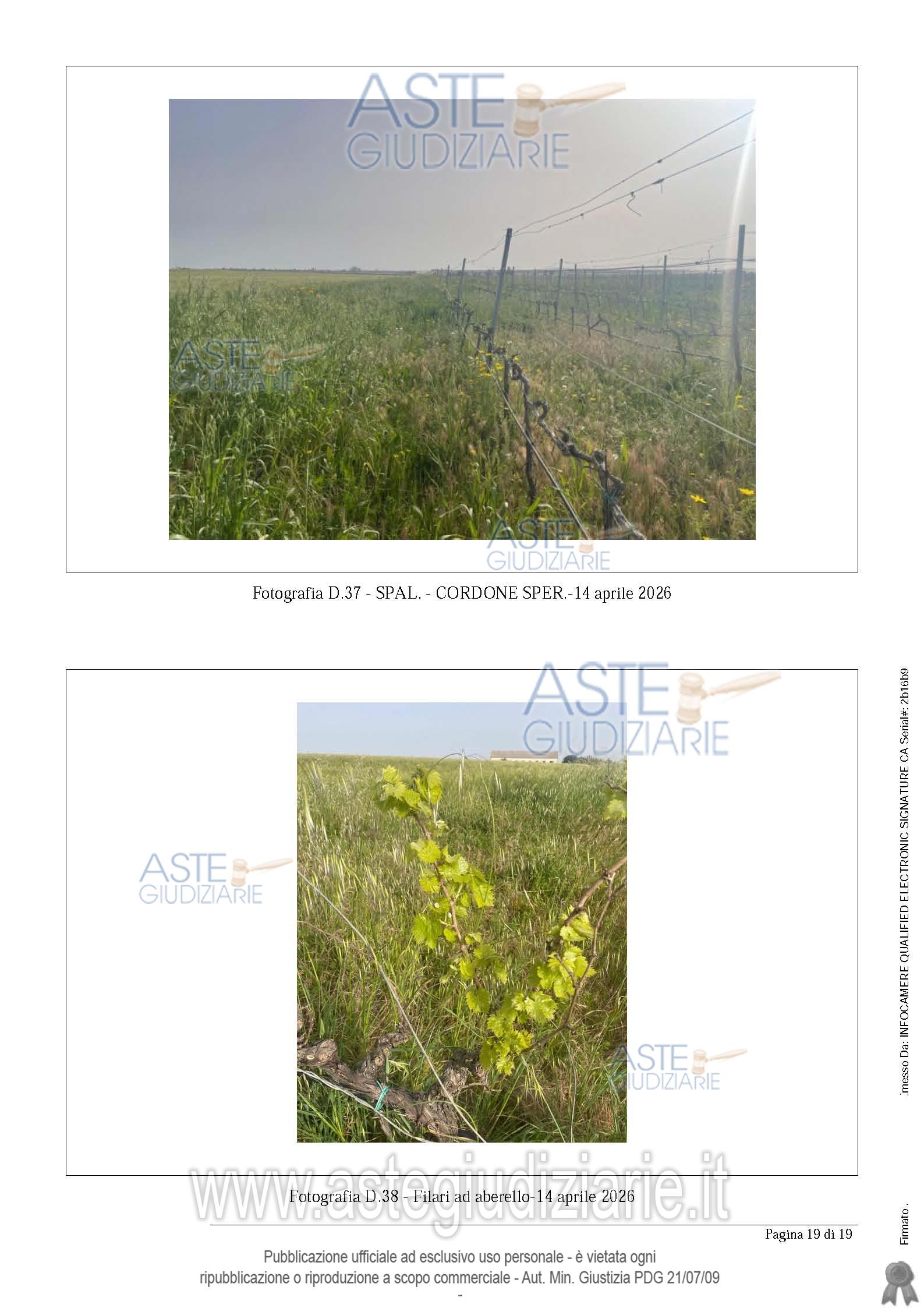 Fotografia del bene