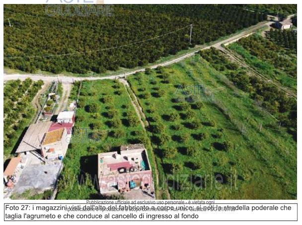 Fotografia del bene