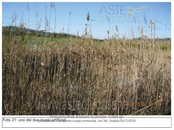 Fotografia del bene