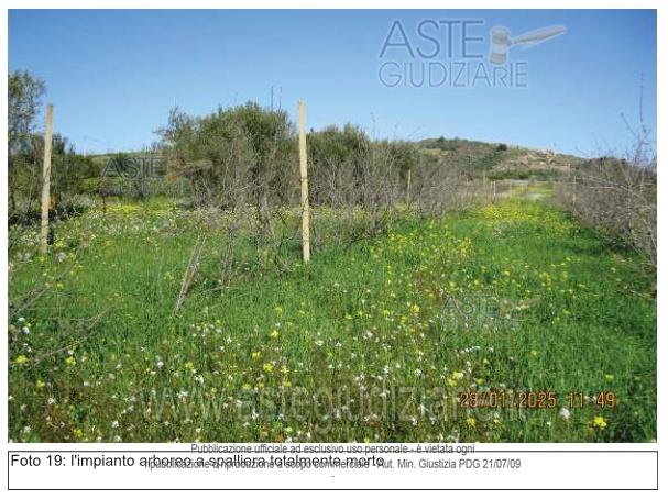 Fotografia del bene