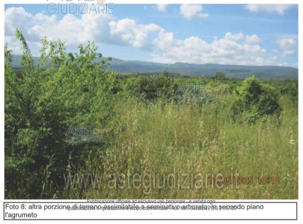 Fotografia del bene