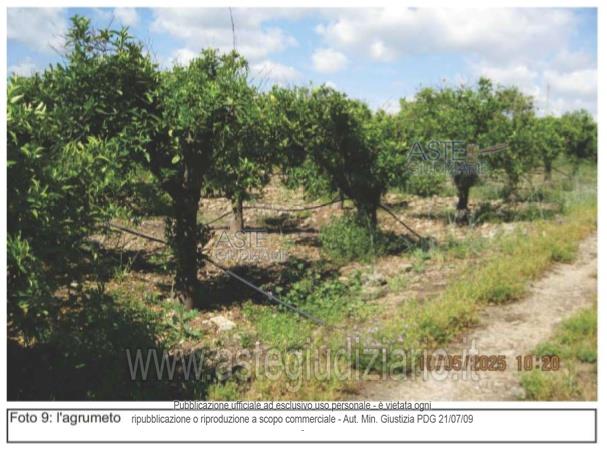 Fotografia del bene
