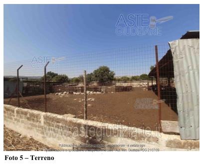 Fotografia del bene