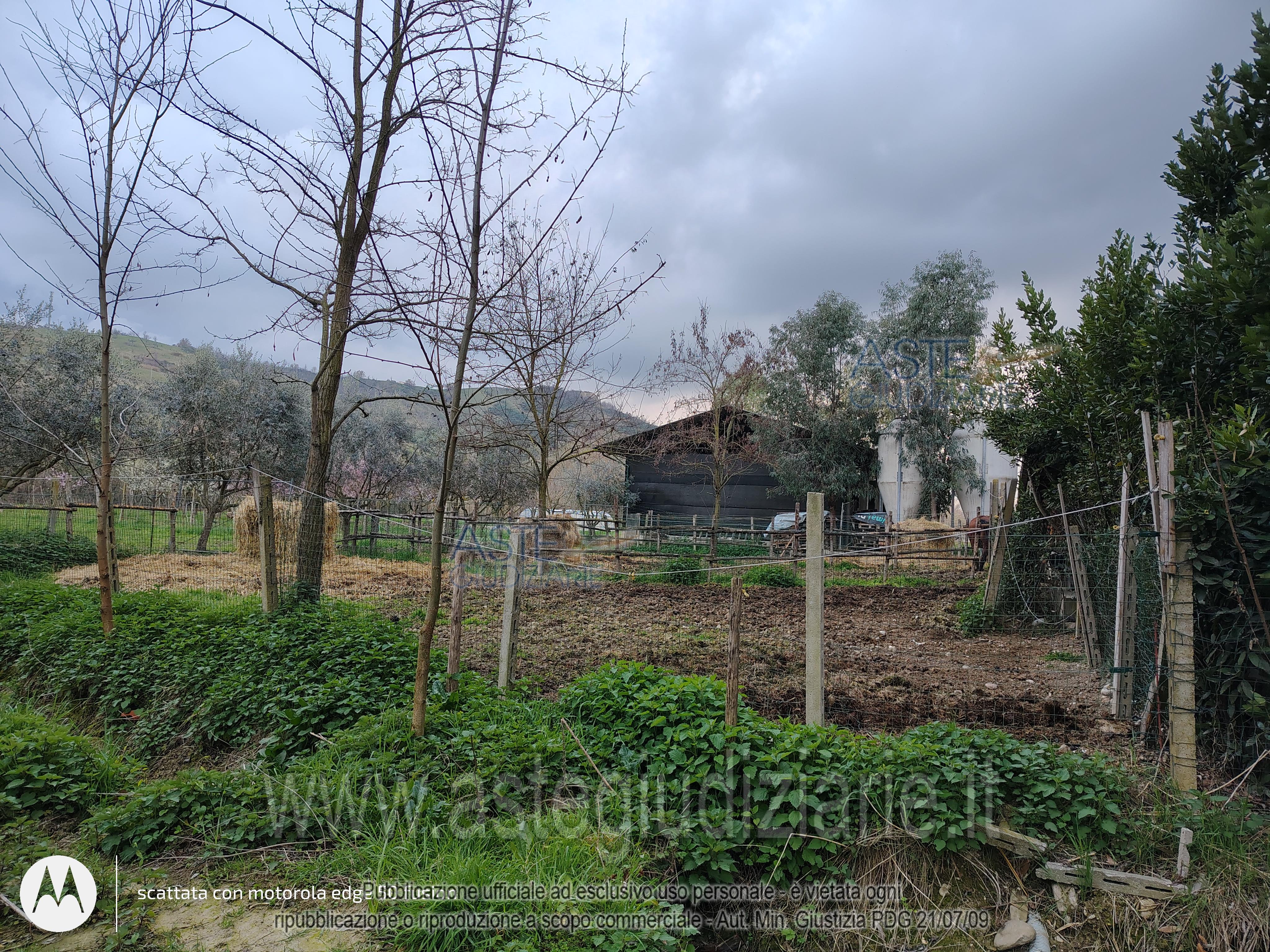 Fotografia del bene