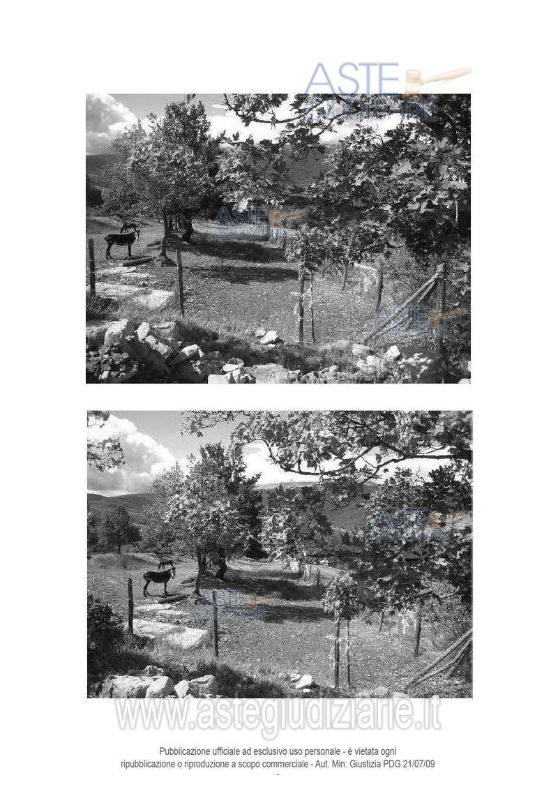 Fotografia del bene