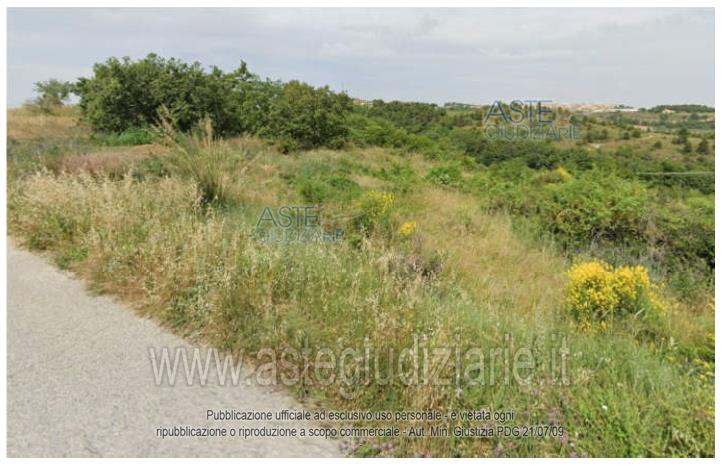Fotografia del bene