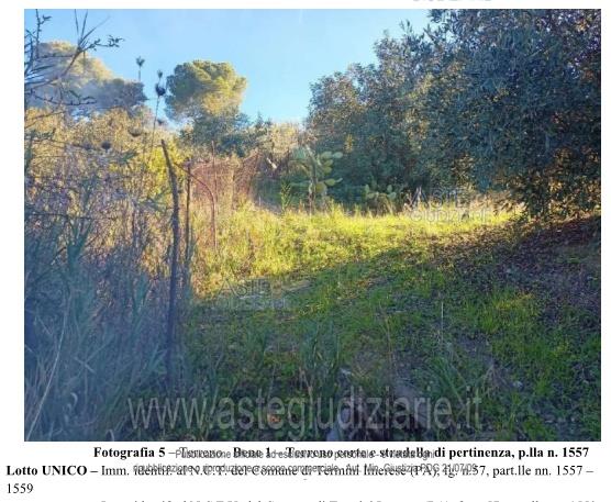 Fotografia del bene
