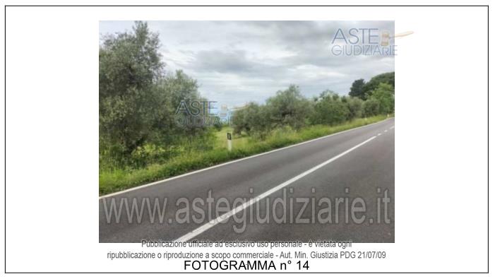 Fotografia del bene