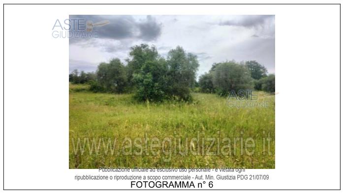 Fotografia del bene