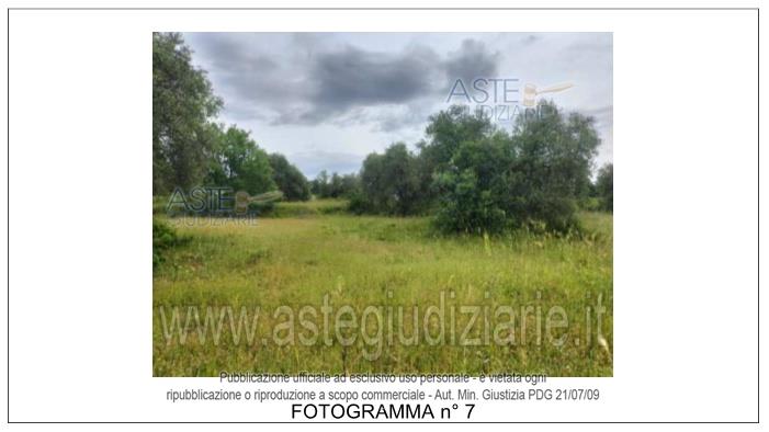 Fotografia del bene