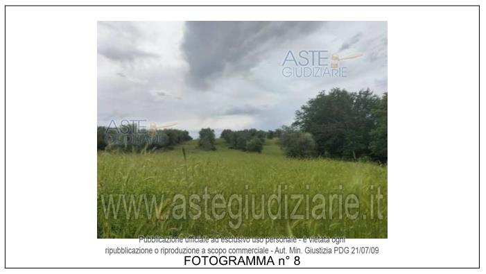 Fotografia del bene