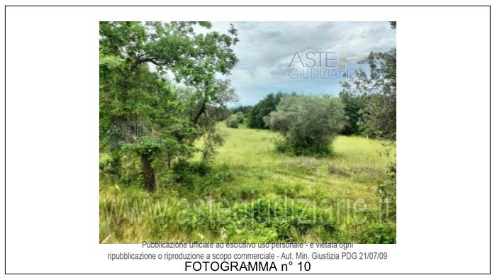 Fotografia del bene