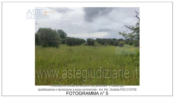 Fotografia del bene