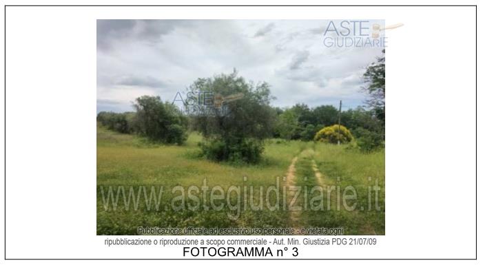 Fotografia del bene