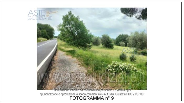 Fotografia del bene