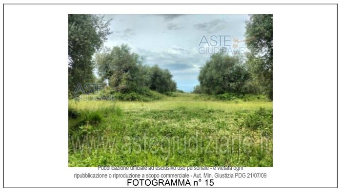 Fotografia del bene