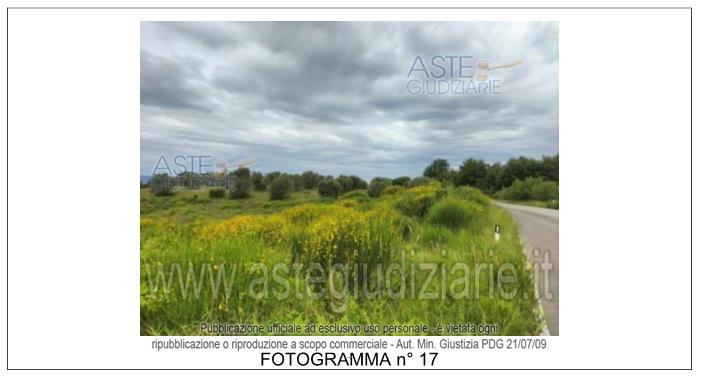 Fotografia del bene