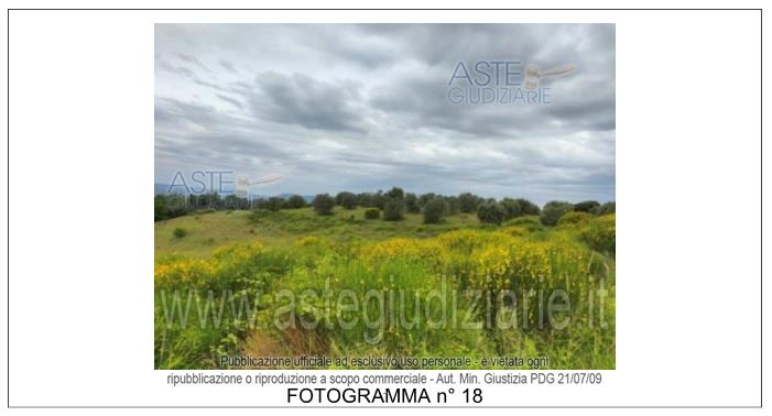 Fotografia del bene