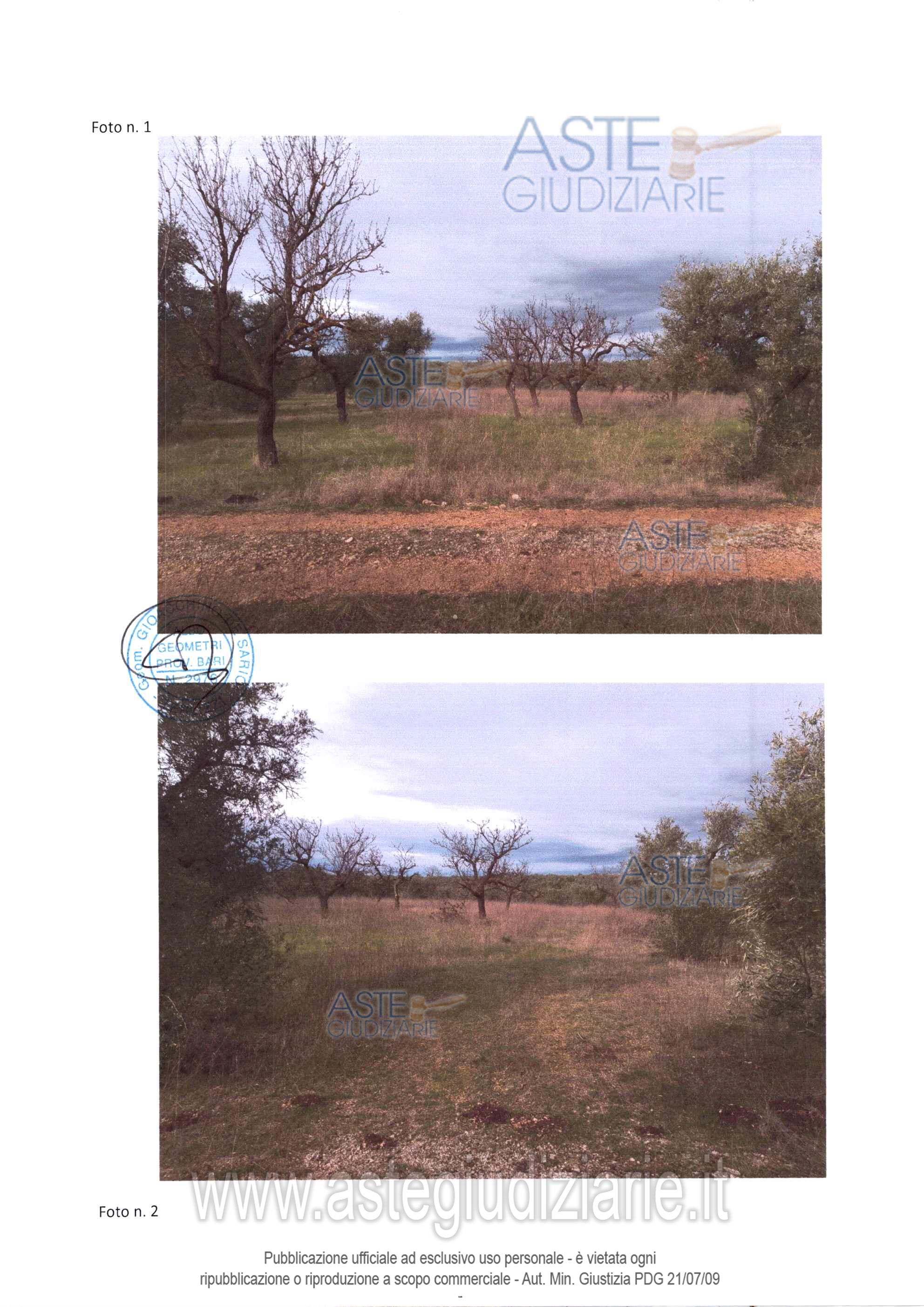 Fotografia del bene