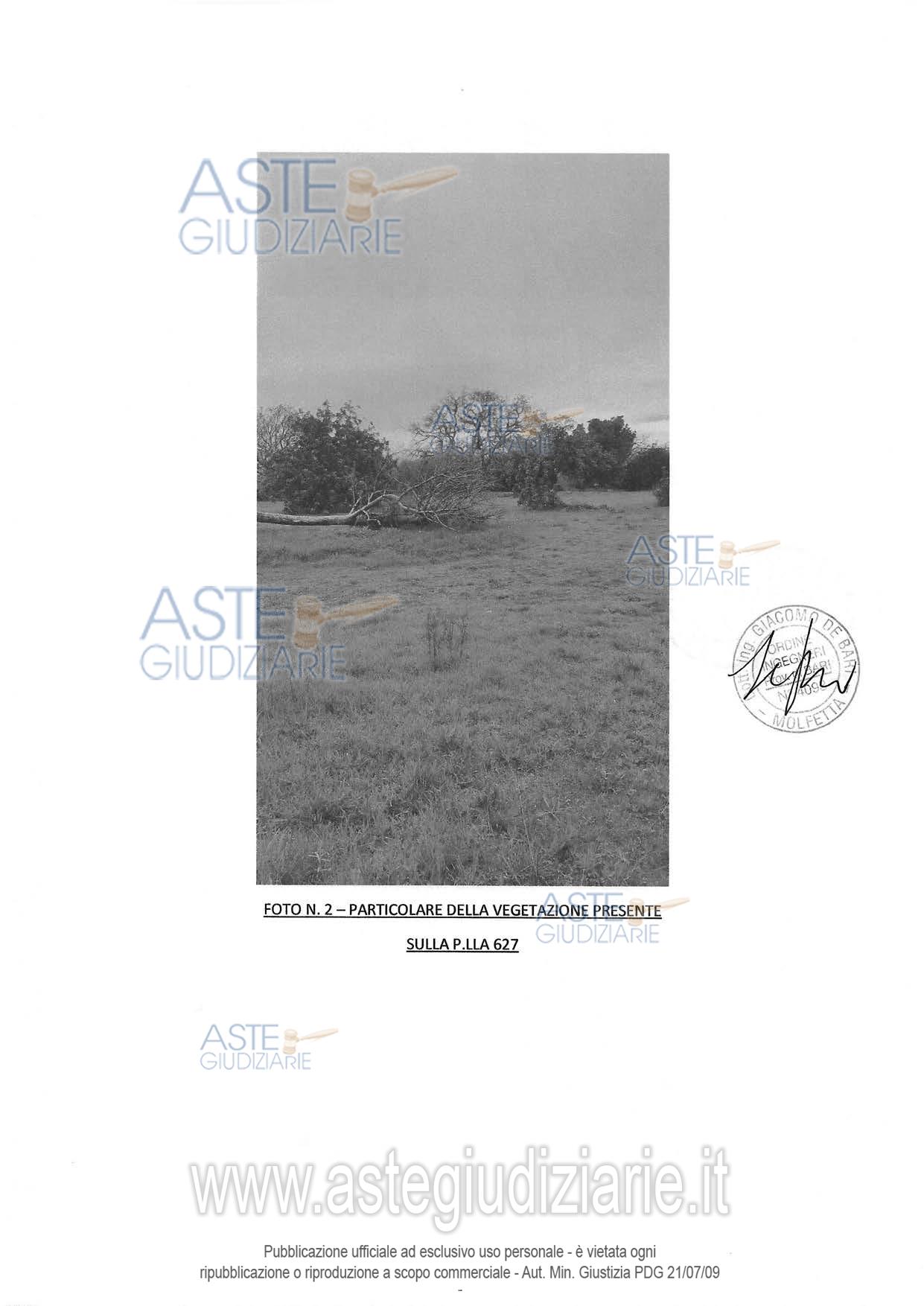 Fotografia del bene