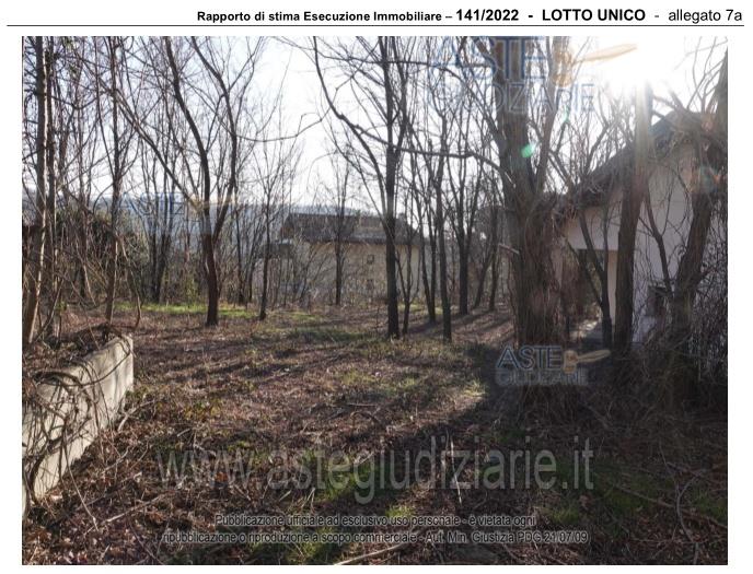 Fotografia del bene