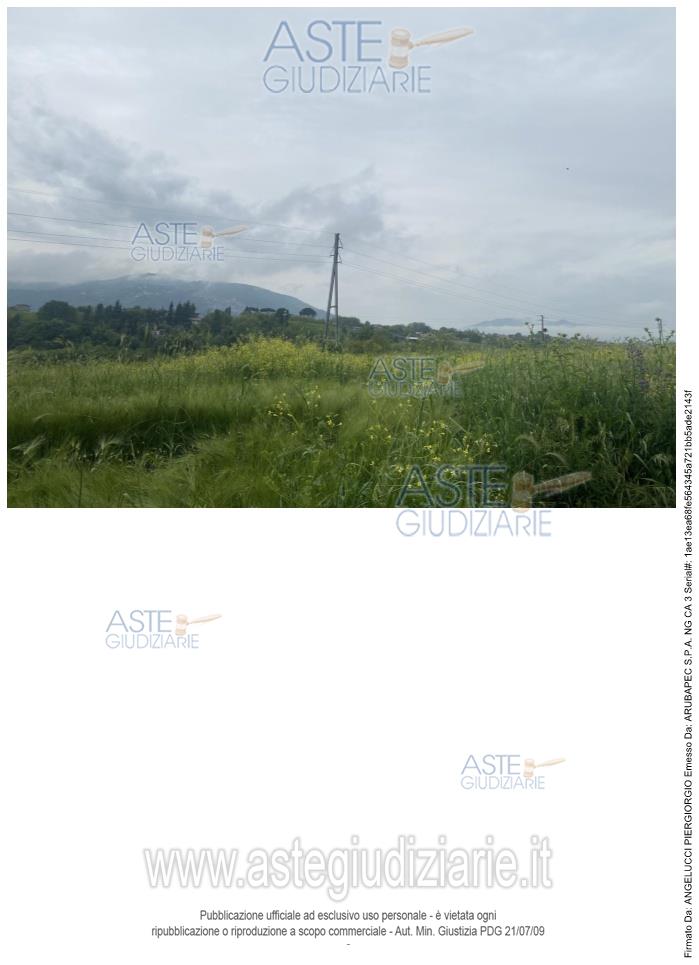 Fotografia del bene
