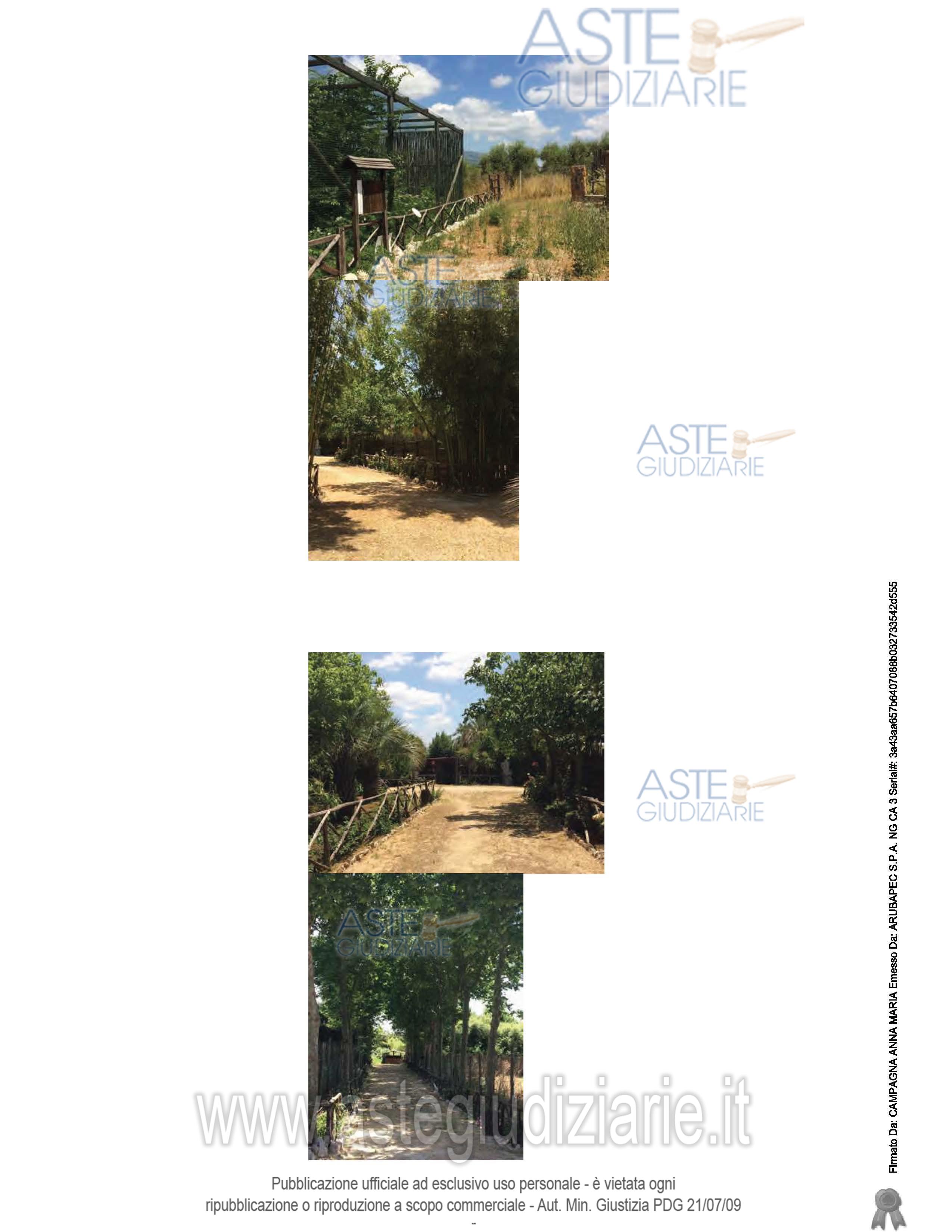 Fotografia del bene