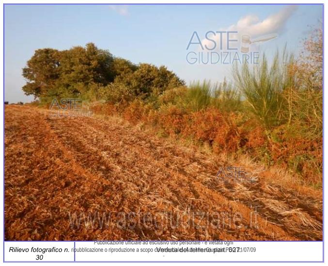 Fotografia del bene