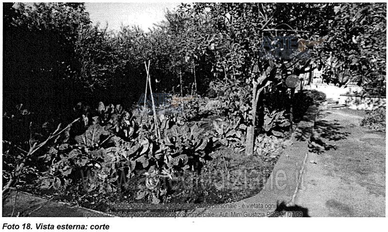 Fotografia del bene